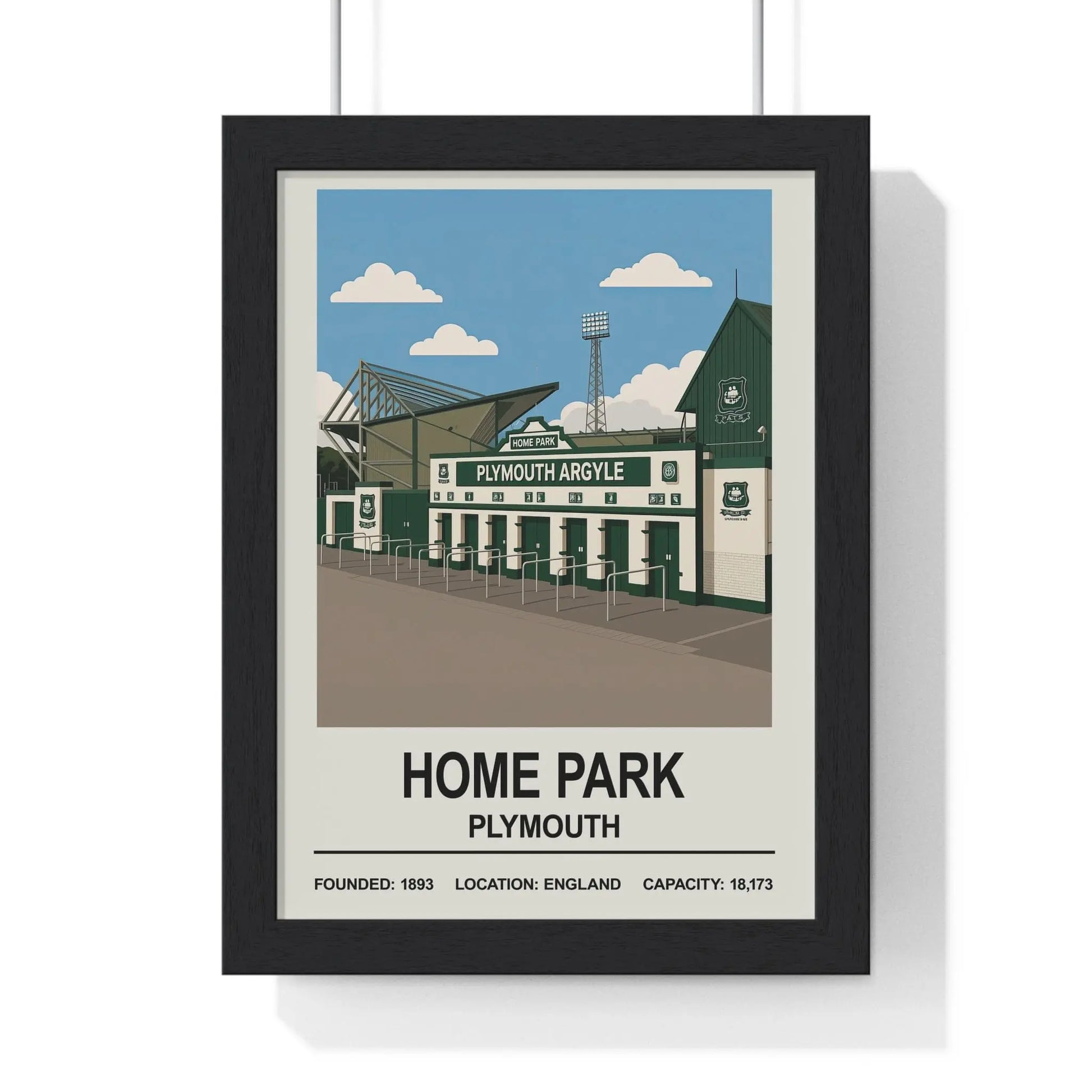 Plymouth Argyle Home Park football stadium wall art print