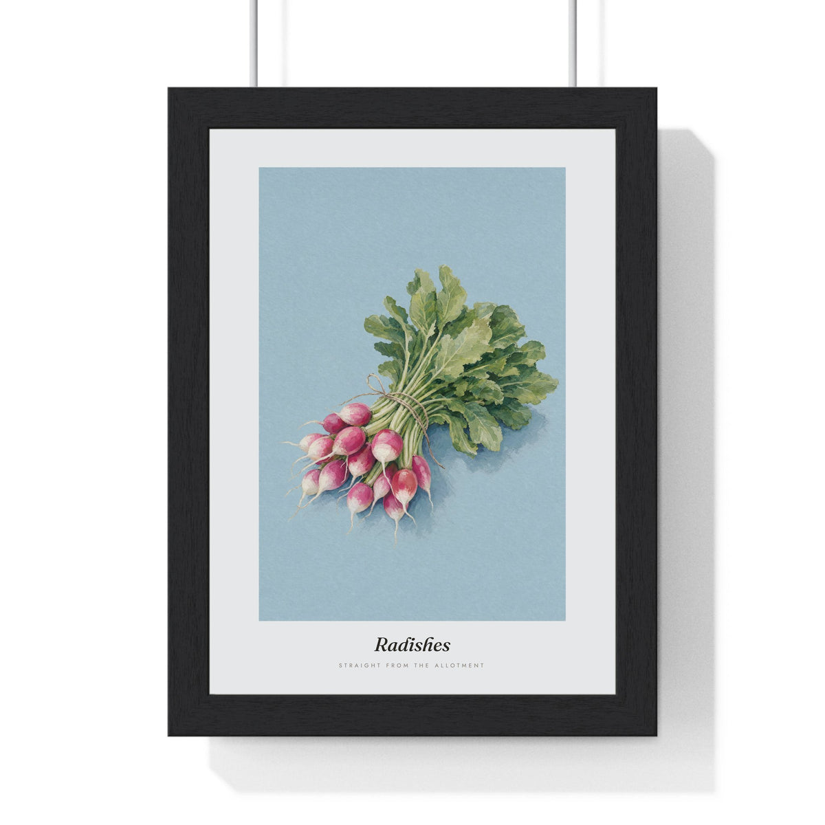 Radishes Print framed in a black frame, ready to hang