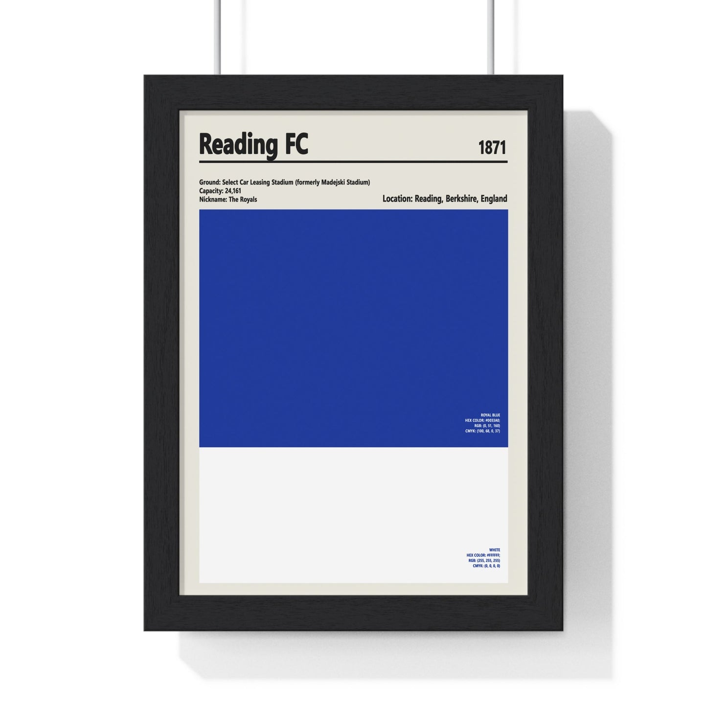 Framed Reading FC colour swatch print