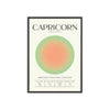 Framed ?apricorn Astrology Chart poster close-up