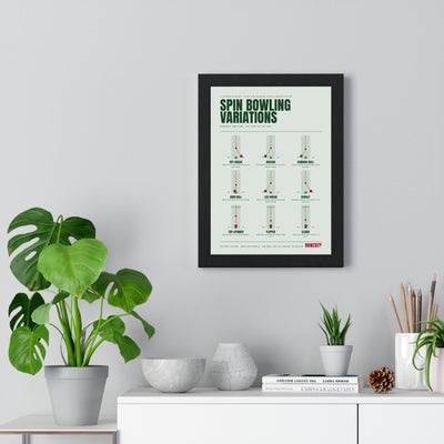 Spin Bowling Variations Cricket print framed on a living room wall