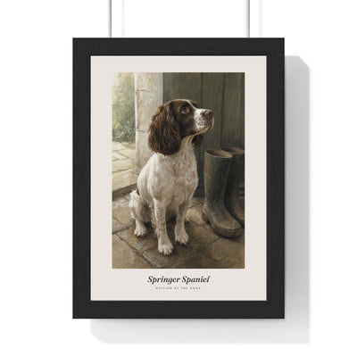 Springer Spaniel Print framed in a black frame, ready to hang