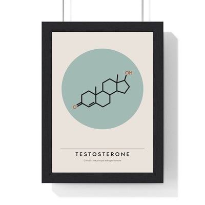 Testosterone Molecule print framed in a black frame, ready to hang