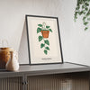 Trailing Pothos Lino Print framed and leaning on a sideboard